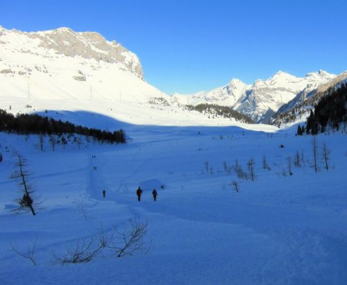 Winterwanderweg Sunnbüel-Schwarenbach, 14. Januar 2012
