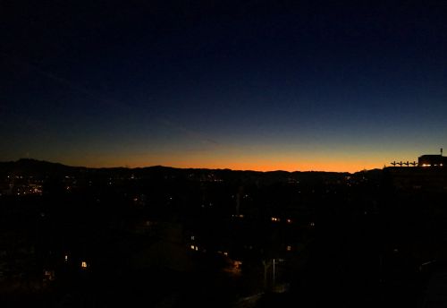 Berner Morgen, 25. Januar 2016

