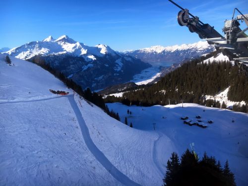 25. Januar 2016
