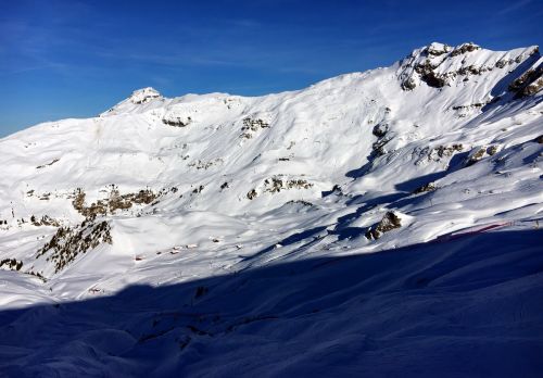 25. Januar 2016
