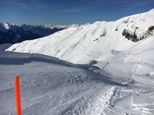 25. Januar 2016
