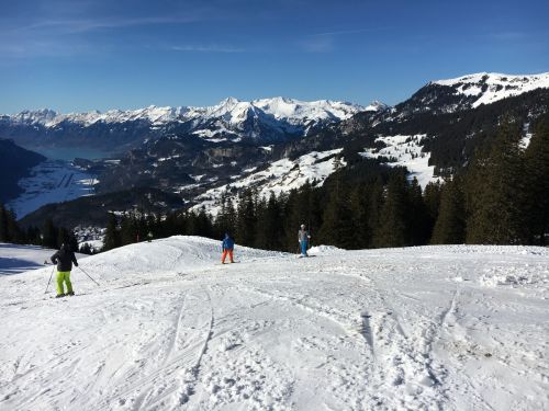 25. Januar 2016
