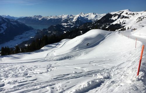 25. Januar 2016

