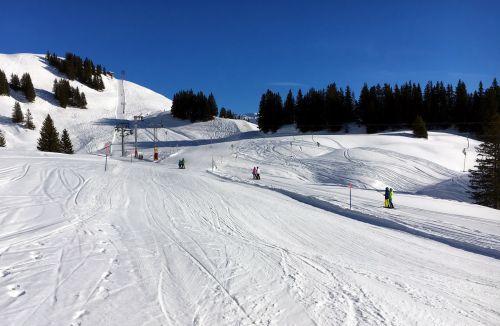 25. Januar 2016
