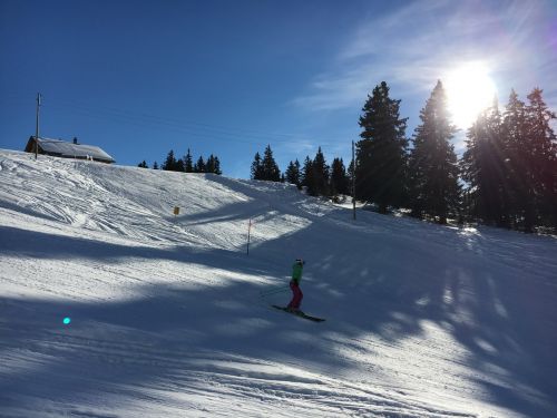 25. Januar 2016
