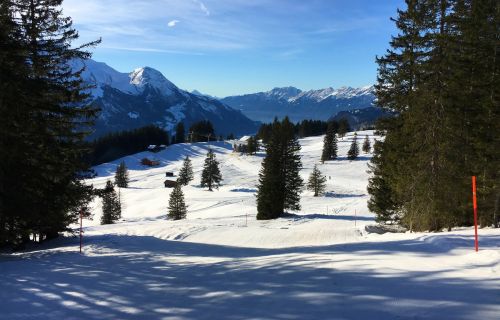 25. Januar 2016
