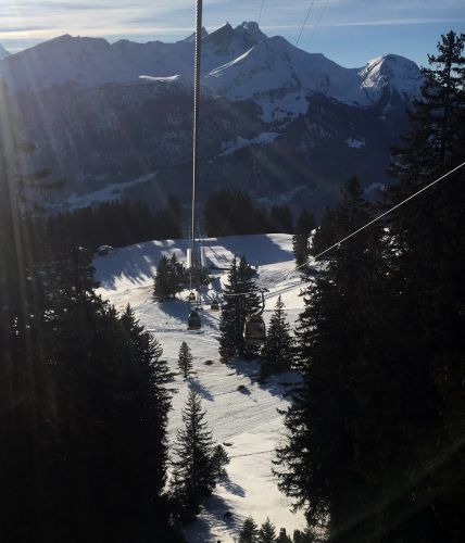 25. Januar 2016
