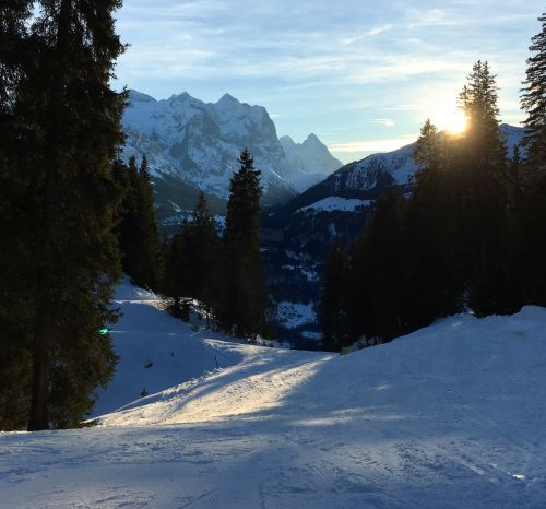 25. Januar 2016

