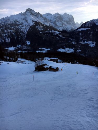 25. Januar 2016
