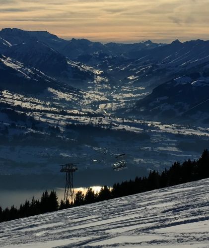 22. Januar 2016
