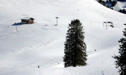 17. März 2009
