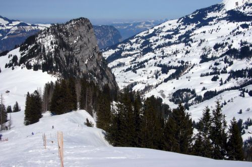 17. März 2009
