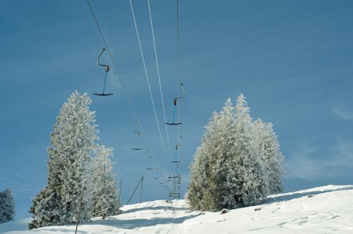 27. Januar 2010

