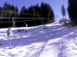 200503-wiriehorn2-6230-096.jpg