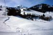 20090317-wiriehorn-0140.jpg