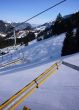 20090317-wiriehorn-0145.jpg