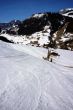 20090317-wiriehorn-0217.jpg