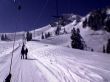 200503-zweisimmen-saanenmoeser-087.jpg