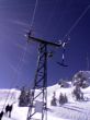 200503-zweisimmen-saanenmoeser-088.jpg