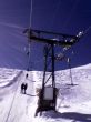 200503-zweisimmen-saanenmoeser-089.jpg