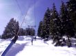 200503-zweisimmen-saanenmoeser-124.jpg