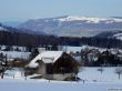 20190212-blumenstein-024.jpg