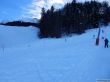 20190212-blumenstein-053.jpg