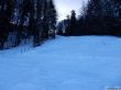 20190212-blumenstein-074.jpg