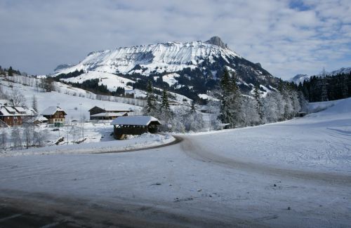 14. Januar 2009
