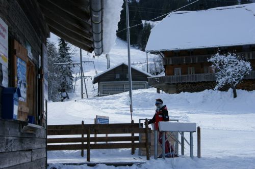 14. Januar 2009
