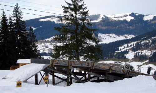 14. Januar 2009
