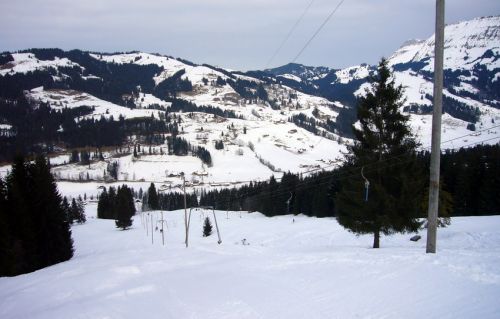 14. Januar 2009
