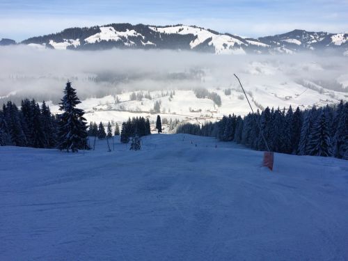 22. Januar 2015
