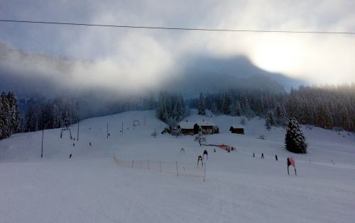 22. Januar 2015

