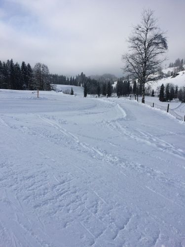 22. Januar 2015
