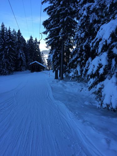 22. Januar 2015
