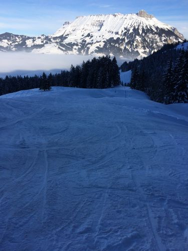 22. Januar 2015
