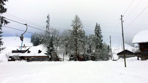 22. Januar 2015
