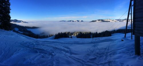 22. Januar 2015
