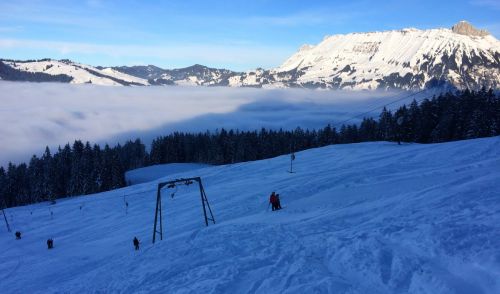 22. Januar 2015
