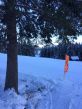 20150122-b-bumbach-5549.jpg