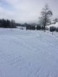 20150122-b-bumbach-5558.jpg