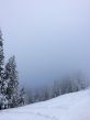 20150122-b-bumbach-5589.jpg
