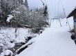 20150122-b-bumbach-5593.jpg