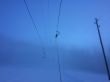 20150122-b-bumbach-5597.jpg