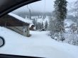20150122-b-bumbach-5631.jpg