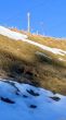 20250304-bumbach-009.jpg