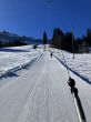 20250304-bumbach-013.jpg