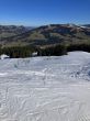 20250304-bumbach-025.jpg