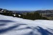 20250304-bumbach-045.jpg